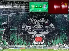 国安对阵泰达，必须全力以赴争取三分的简单介绍