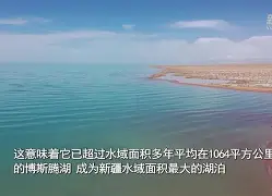 阿雅克欲排除圣埃蒂安,继续取胜 阿雅克欲排除圣埃蒂安,继续取胜